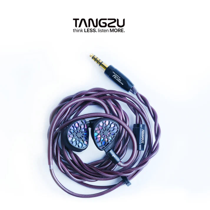 TangZu Wu Zetian The Legend Edition Dual Planar Driver IEM Earphone 4.4mm 2-Pin Cable