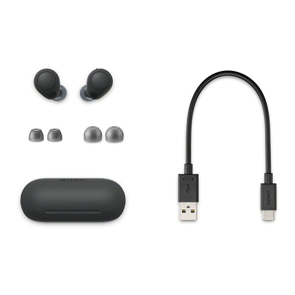 SONY WF C700N True Wireless TWS Bluetooth 5.2 Noise Canceling IPX4 Earphone for Apple iOS iPhone Android