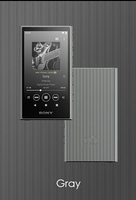 SONY NW-A306 Hi-Res Digital Audio Player DAP with 32 GB Internal