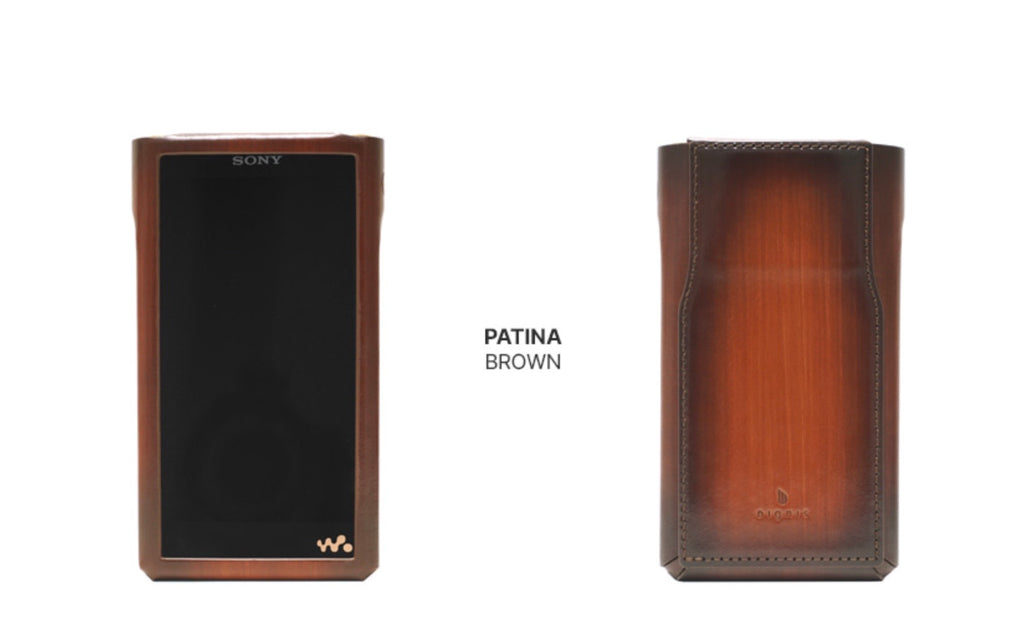 Dignis Artisan Series Patina Case for SONY WM1AM2 WM1ZM2 3 Colors